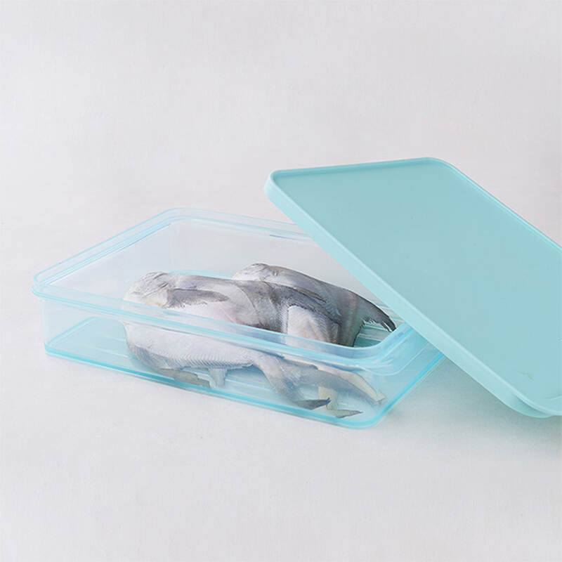 Hộp Trữ Đông Thực Phẩm Freezer Fit Locknlock Màu Tự Nhiên nhiều dung tích- HFL10 image number null